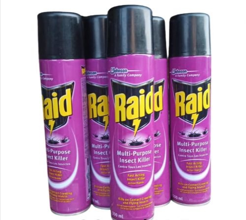 Raid Multi Purpose Fast Acting Insect Killer 350ml