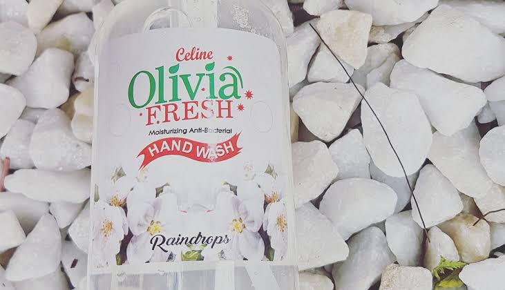 CelineOlivia Fresh moisturizing anti-bacterial handwash Rain Drop