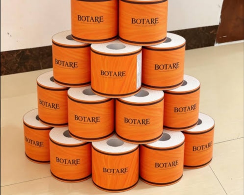 Botare Toilet Rolls 48 Pack 